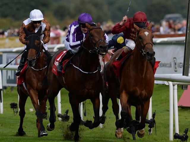 Simple Verse (right) wins the St Leger and leads to a rule change on the Betfair Sportsbook